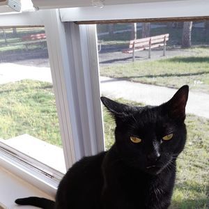 Meet your Posher, Denise